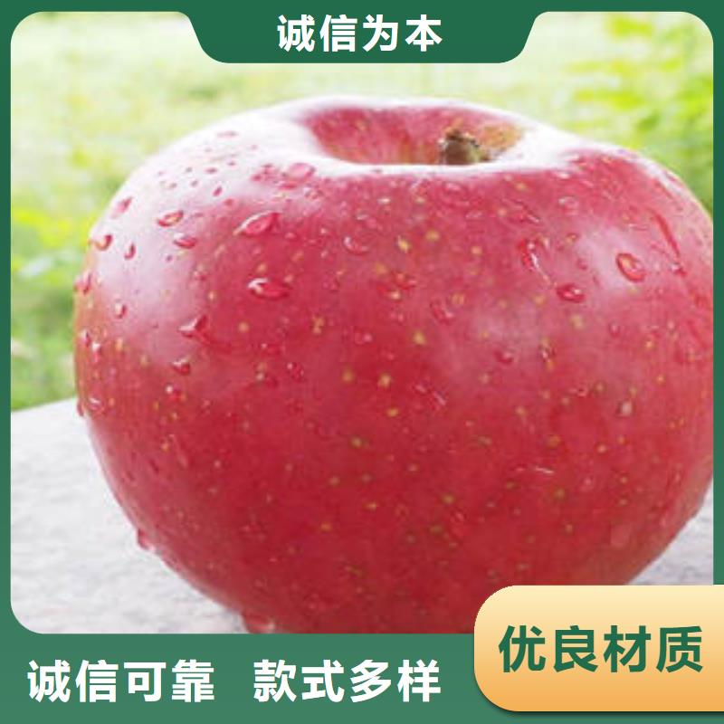 【红富士苹果】嘎啦苹果省心又省钱