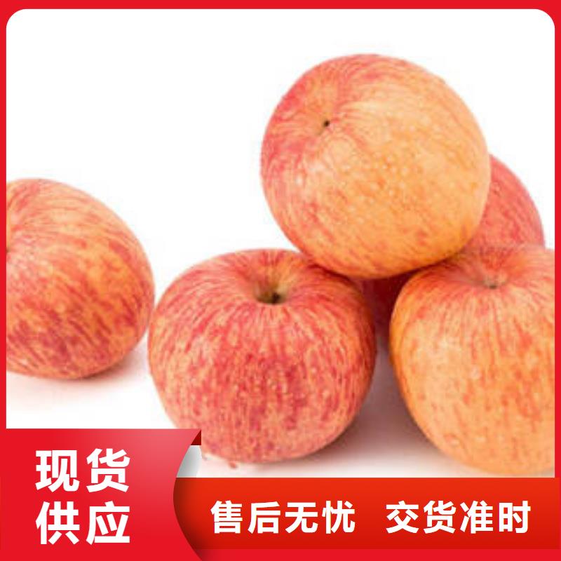 红富士苹果嘎啦苹果产地直供
