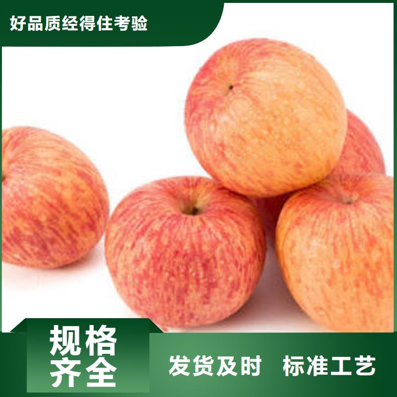 红富士苹果嘎啦苹果经销商