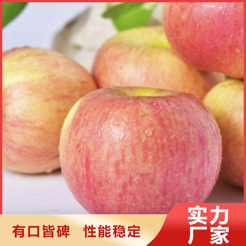 【红富士苹果】嘎啦苹果省心又省钱