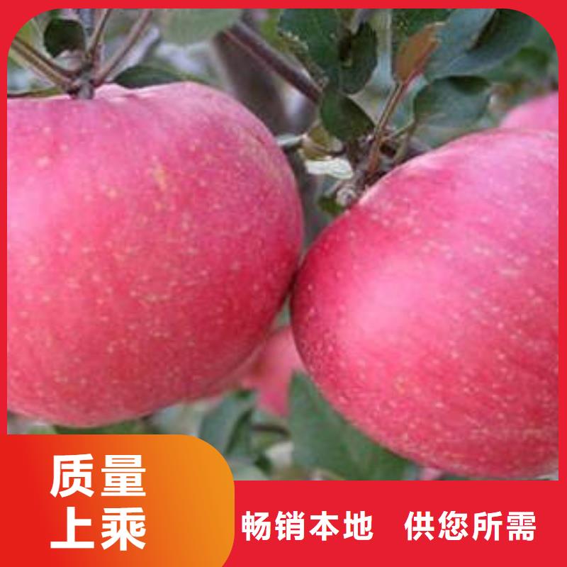【红富士苹果专注细节更放心】
