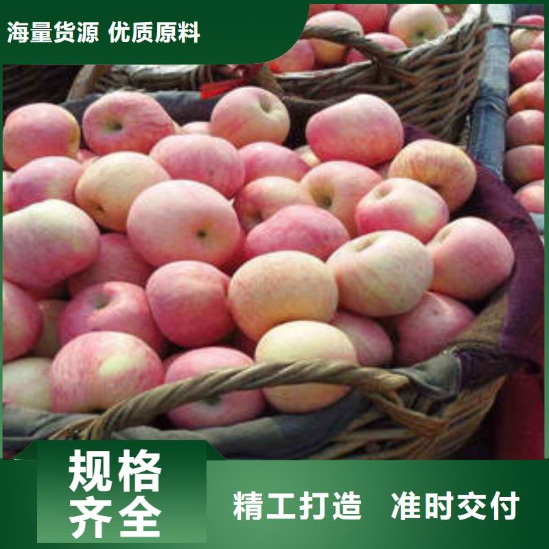 【红富士苹果】嘎啦苹果精工细作品质优良