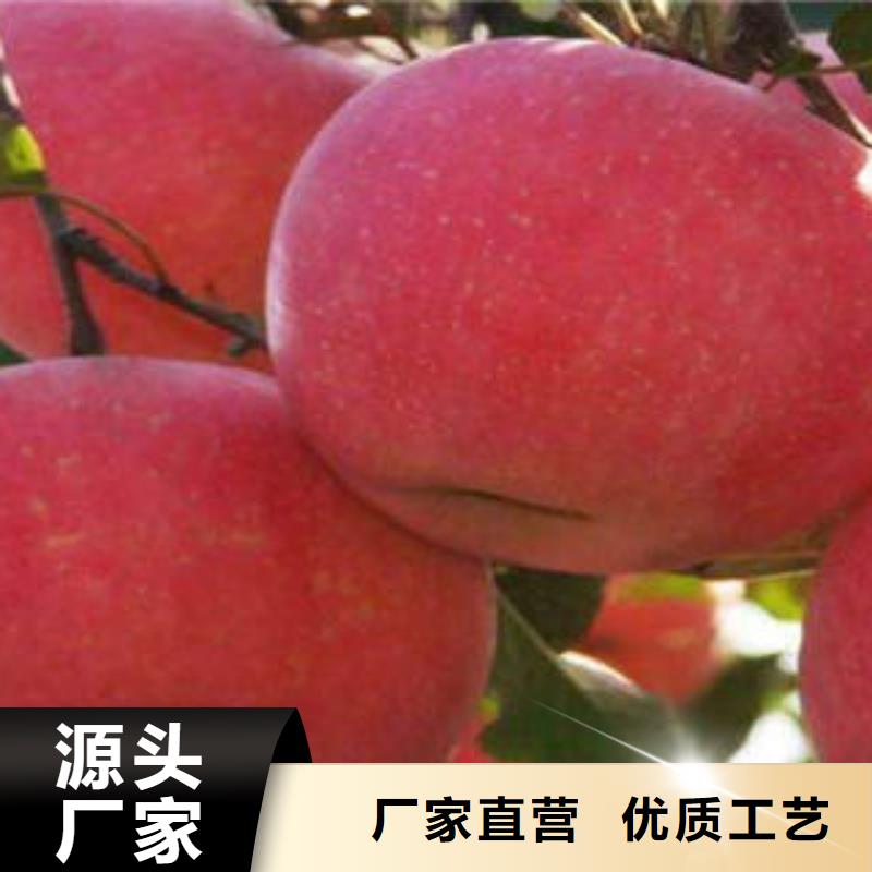 红富士苹果质保一年