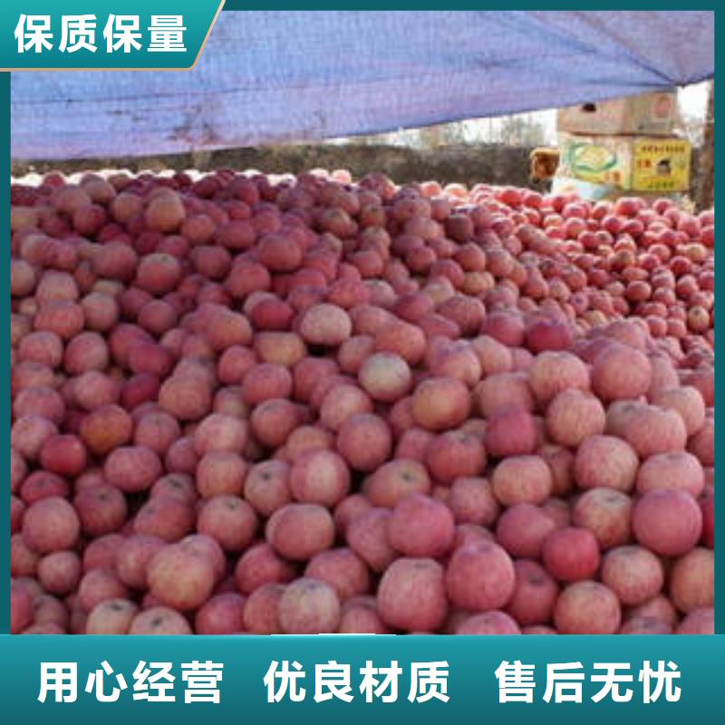 红富士苹果有口皆碑