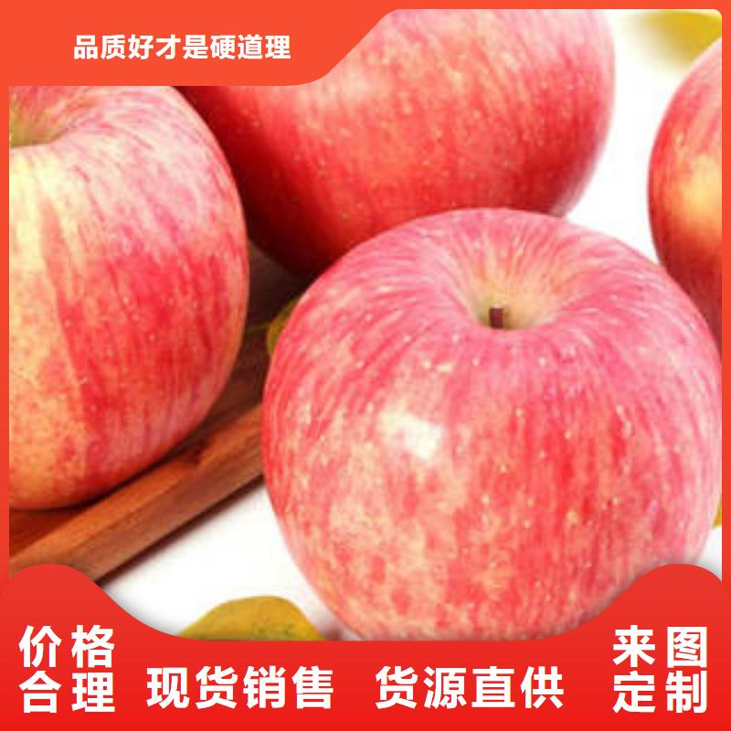 红富士苹果-红富士苹果批发厂家自营