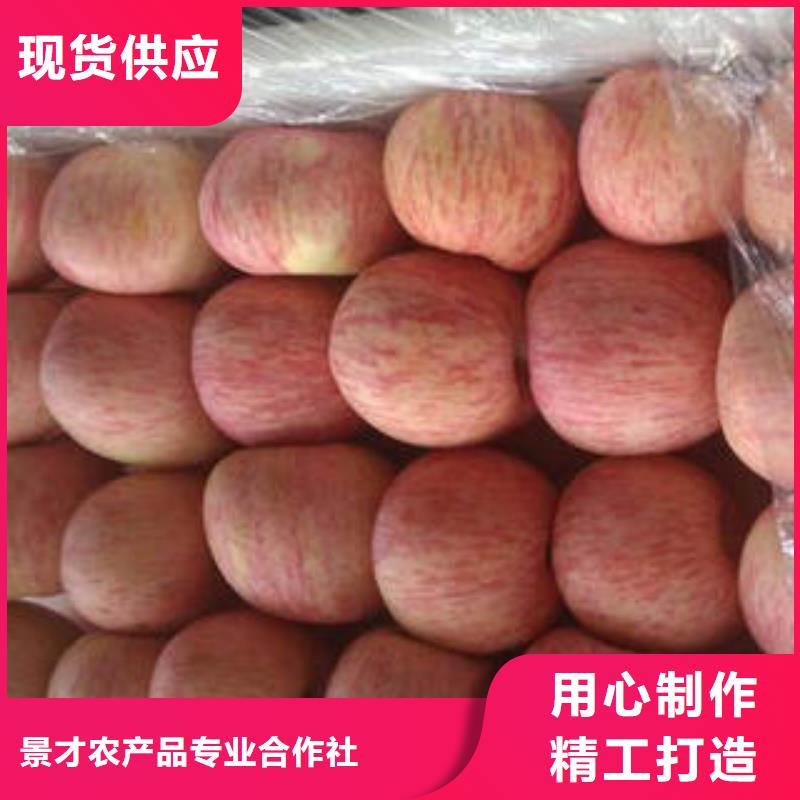 红富士苹果嘎啦苹果支持大小批量采购