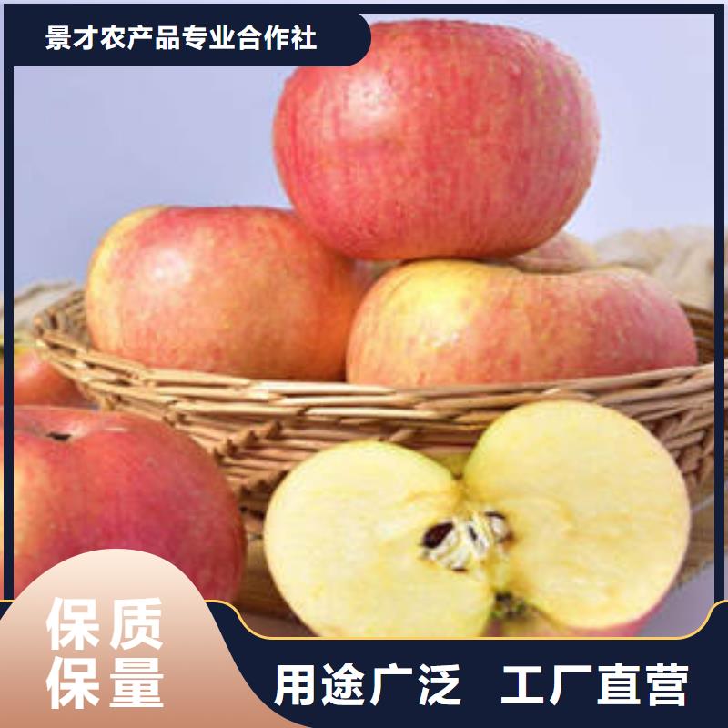 红富士苹果质保一年
