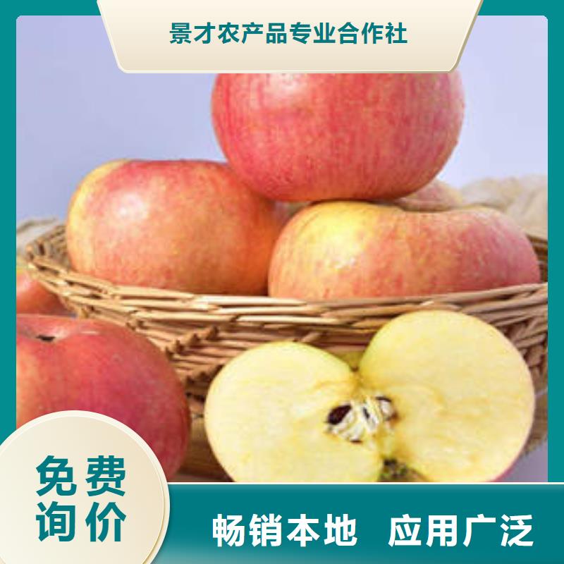 红富士苹果【嘎啦苹果】一对一为您服务