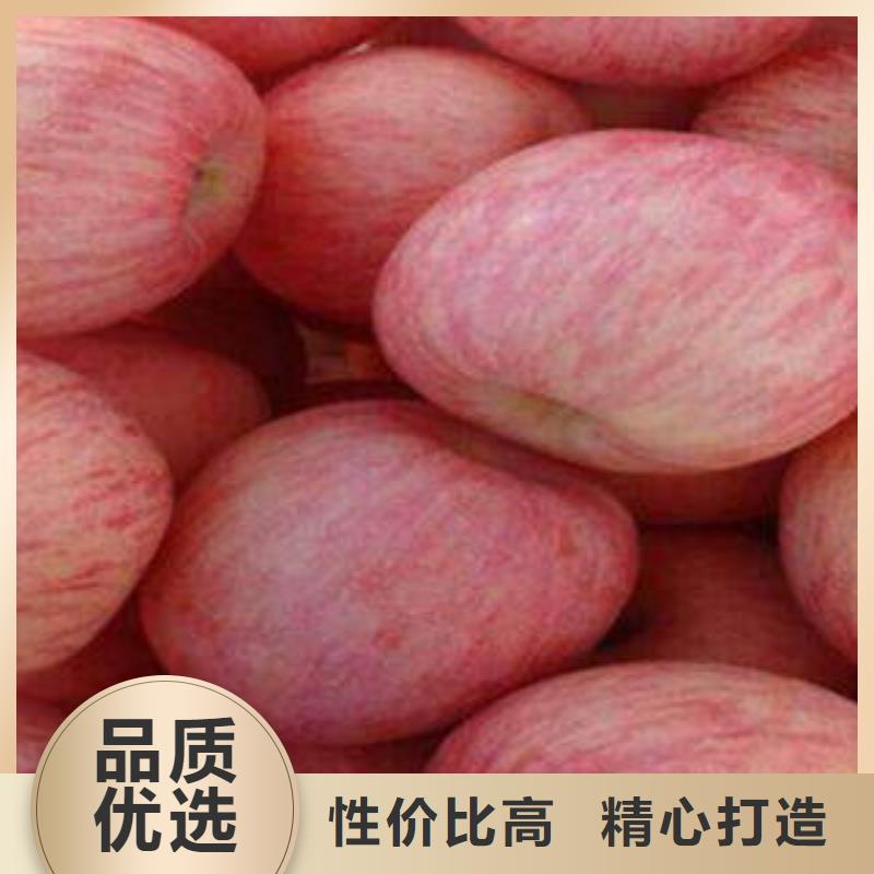 【红富士苹果省心又省钱】
