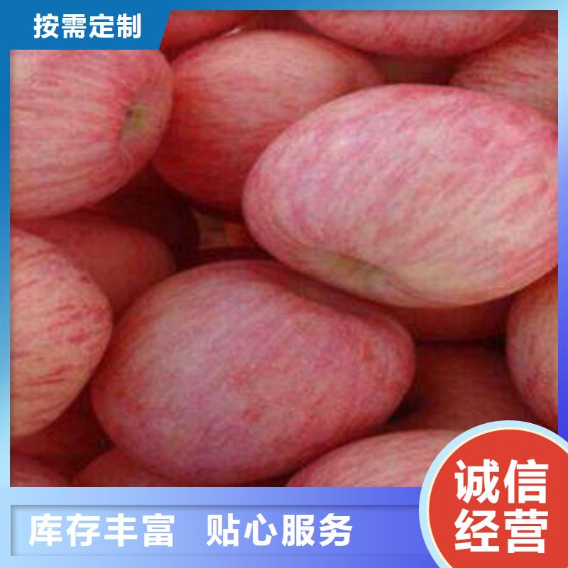 【红富士苹果】嘎啦苹果精工细作品质优良