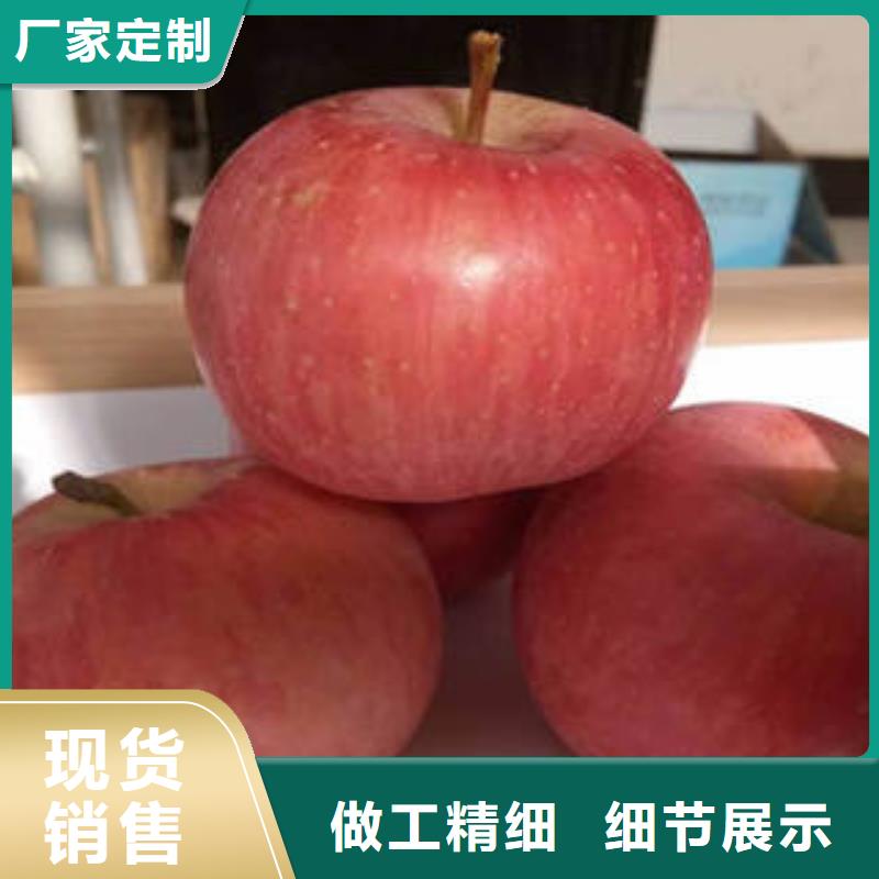 【红富士苹果-苹果种植基地苹果种植基地货源直供】
