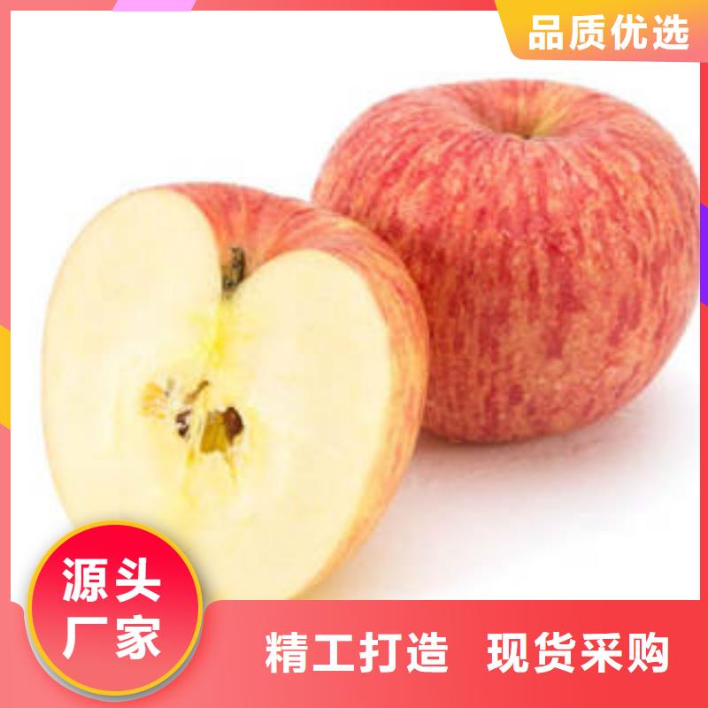 红富士苹果生产厂家