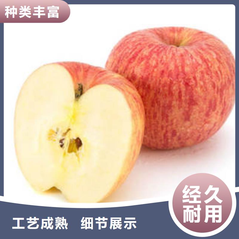 红富士苹果苹果种植基地产地工厂
