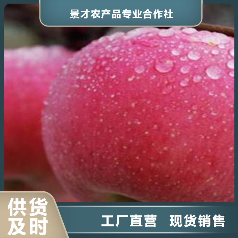 【红富士苹果专注细节更放心】