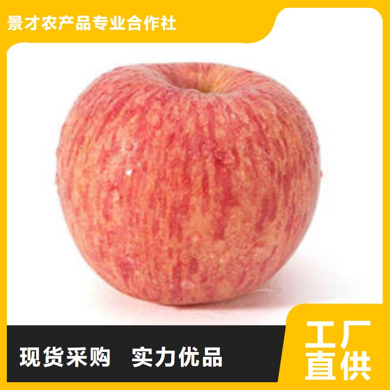 红富士苹果质保一年