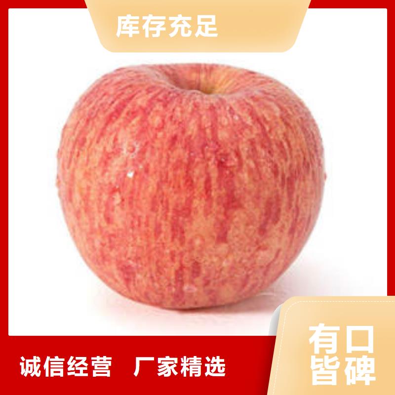 红富士苹果,红富士苹果批发从厂家买售后有保障