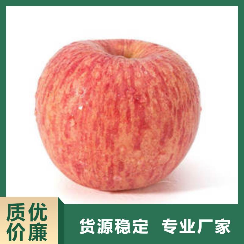 红富士苹果【嘎啦苹果】一对一为您服务
