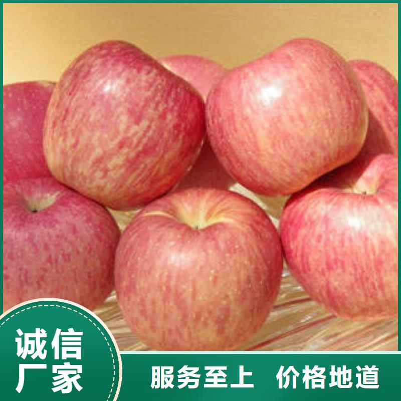 【红富士苹果专注细节更放心】