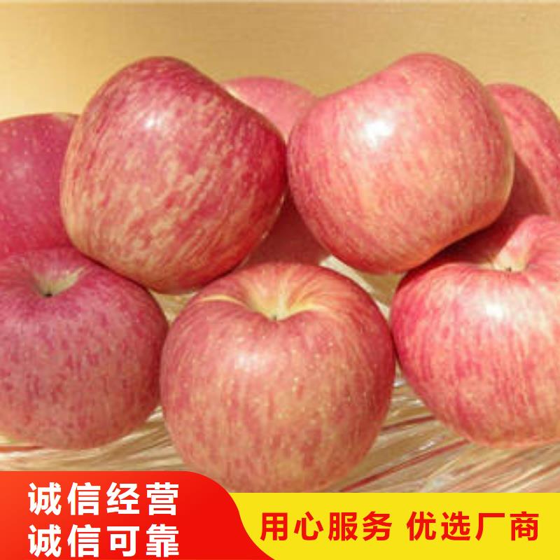 红富士苹果嘎啦果精工制作