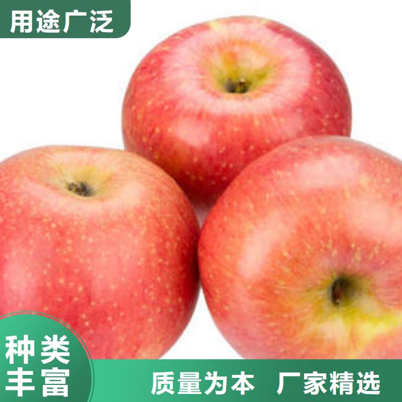 红富士苹果_嘎啦苹果价格低