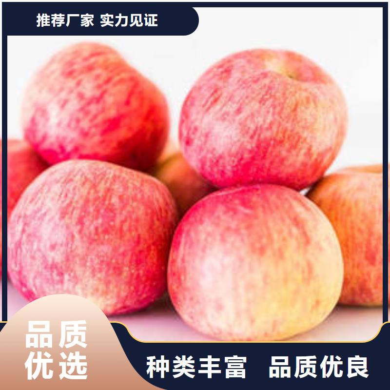 红富士苹果【嘎啦苹果】自产自销