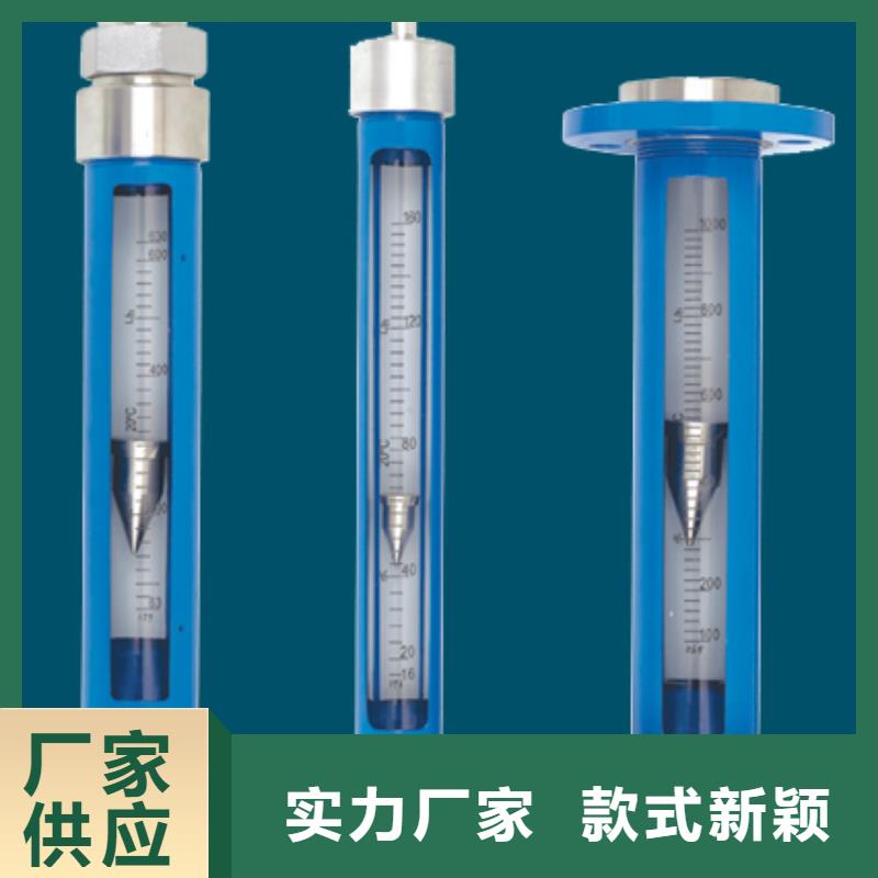 G10浮子流量计厂家直发