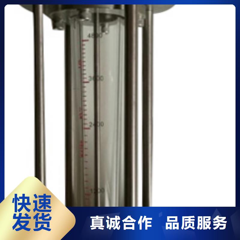 G10浮子流量计厂家直发