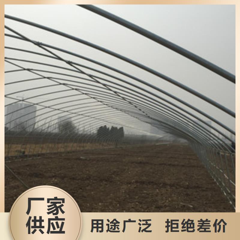 大棚管H型钢买的放心安兴用的舒心