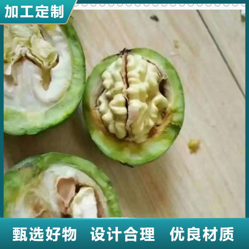 【核桃苗】_板栗苗支持批发零售