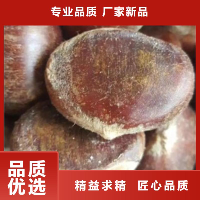 板栗苗桃树苗厂家直销放心