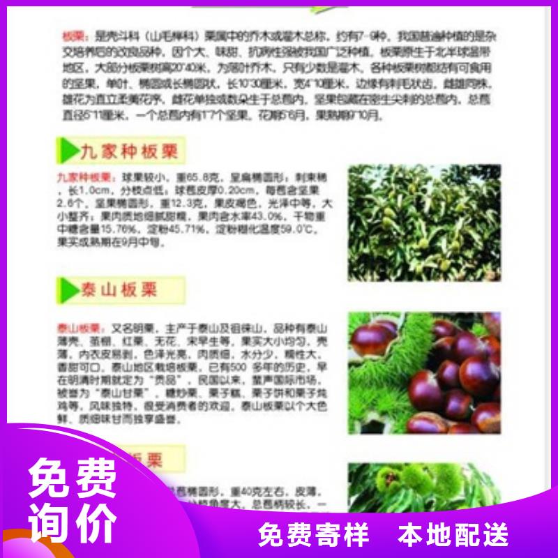 板栗苗山楂苗质量上乘