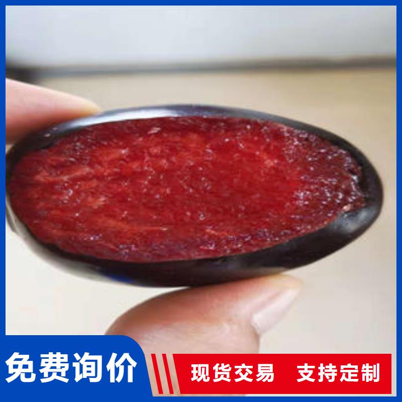 李子苗蓝莓苗满足多种行业需求