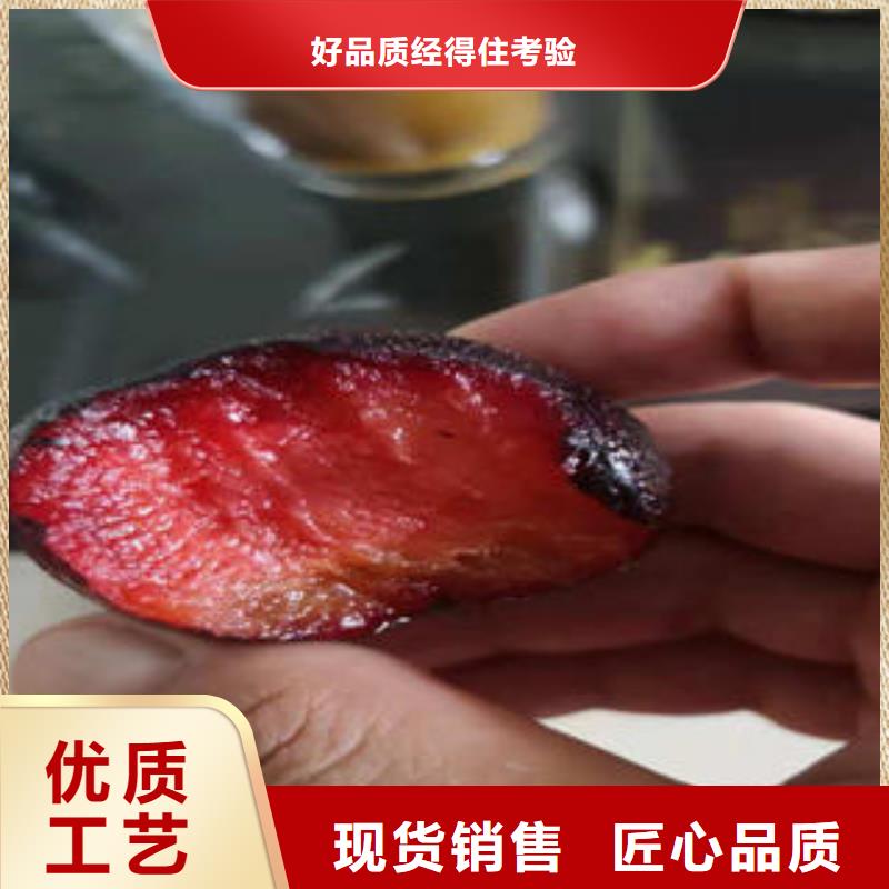 【李子苗山楂苗优选好材铸造好品质】