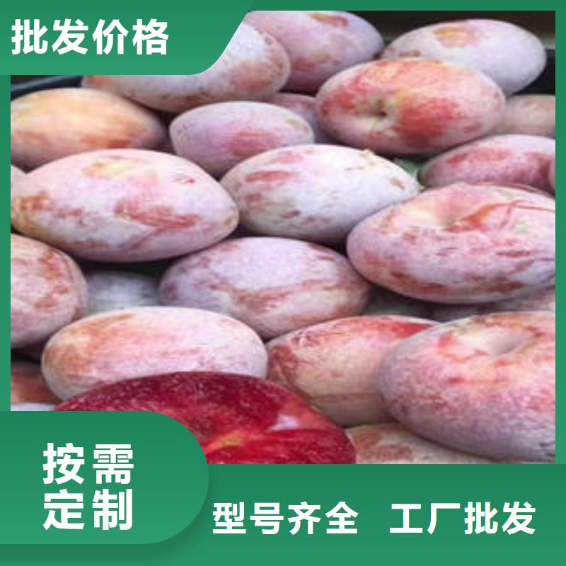 李子苗,梨树苗出厂严格质检