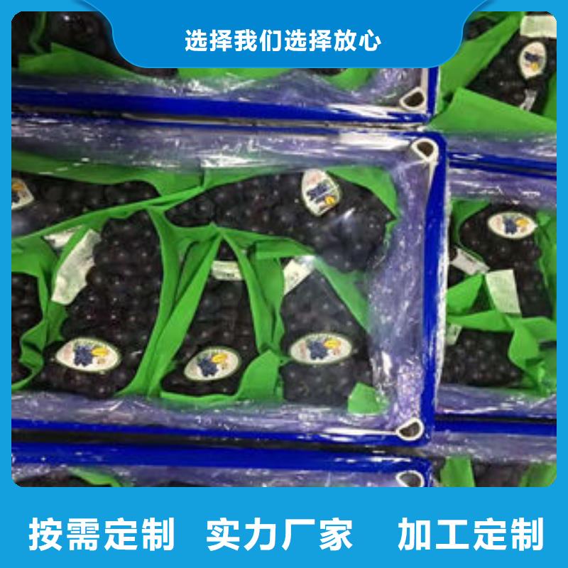 葡萄苗_李子苗打造好品质