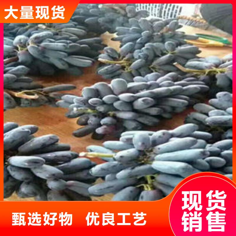 葡萄苗,苹果苗质量可靠