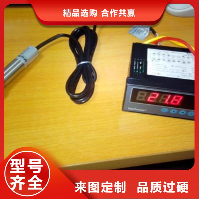 IRTP300L-金属管浮子流量计用心细节