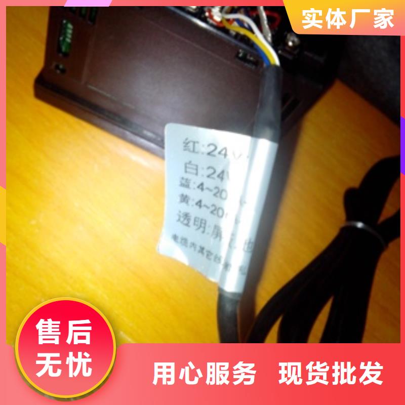 IRTP300L红外探头货源足质量好