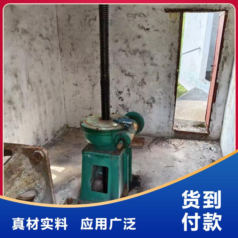 螺杆式启闭机双吊点启闭机专注细节使用放心