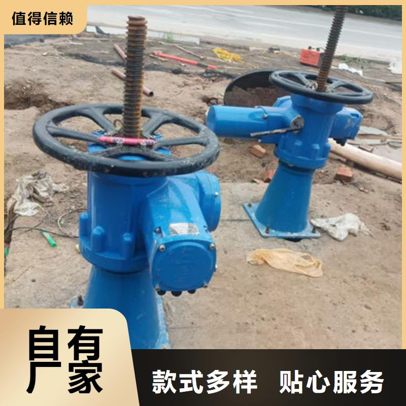 螺杆式启闭机双吊点启闭机专注细节使用放心