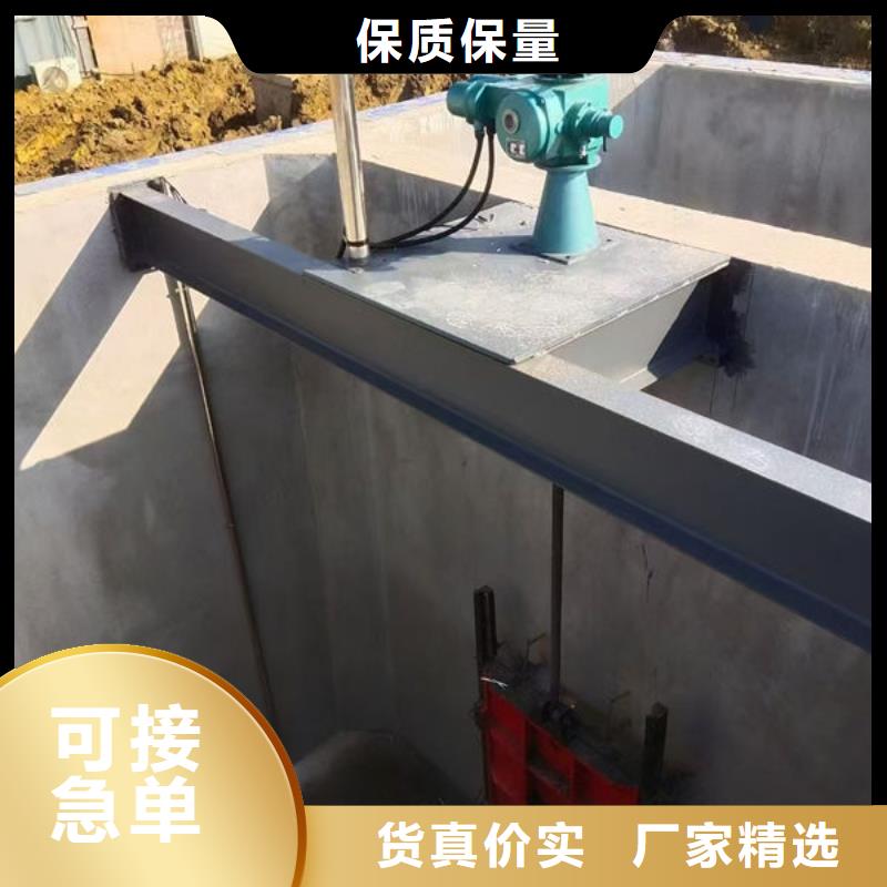 螺杆式启闭机平推启闭机实力厂商