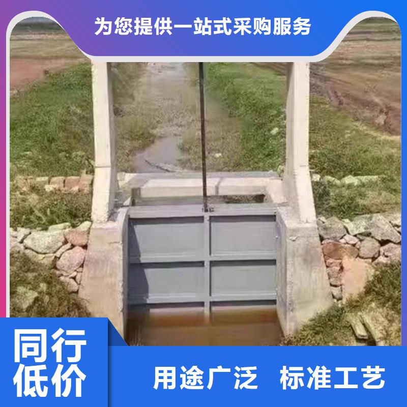 铸铁闸门-水电站铸铁闸门老客户钟爱