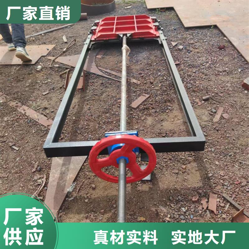 铸铁闸门,镶铜铸铁闸门品质值得信赖