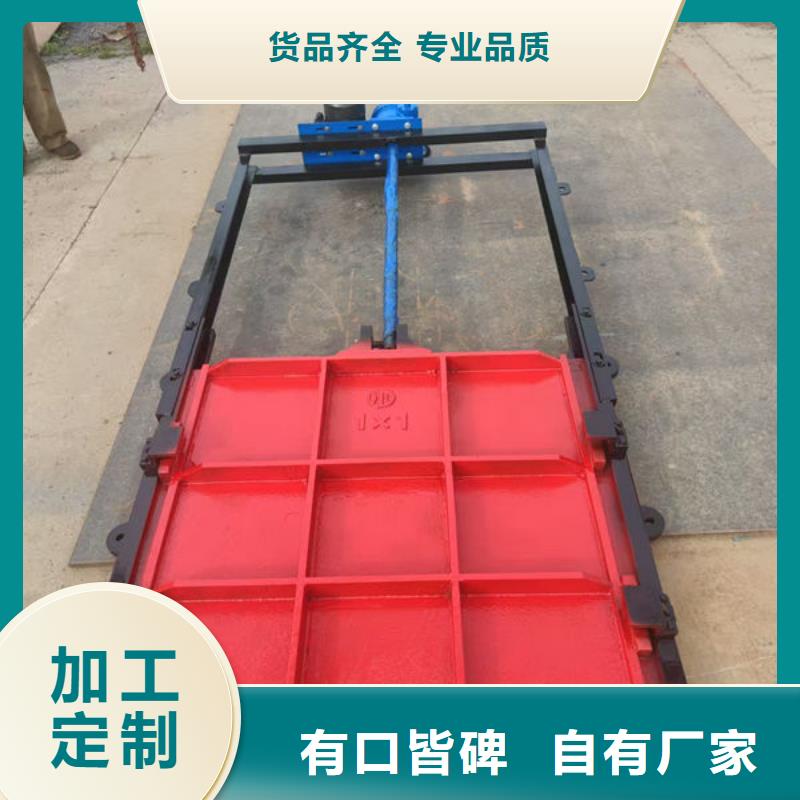 铸铁闸门扇形闸门自有厂家