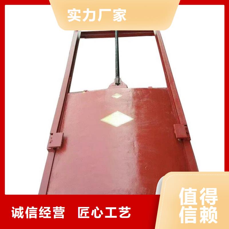 铸铁闸门-水电站铸铁闸门老客户钟爱