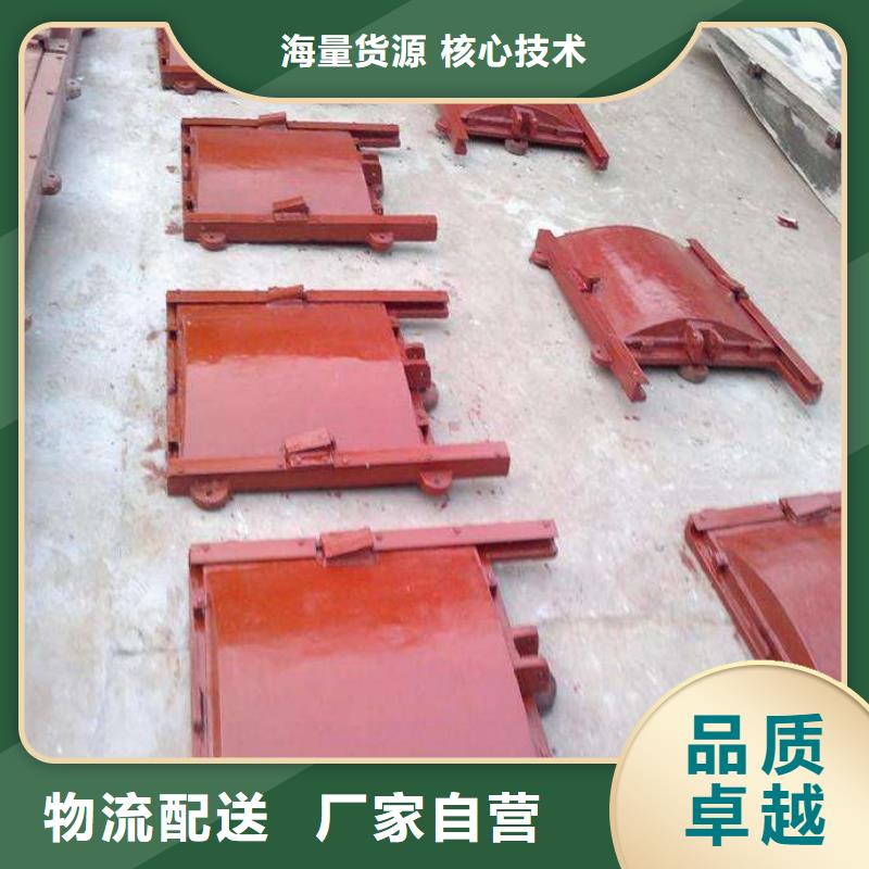 铸铁闸门,镶铜铸铁闸门品质值得信赖
