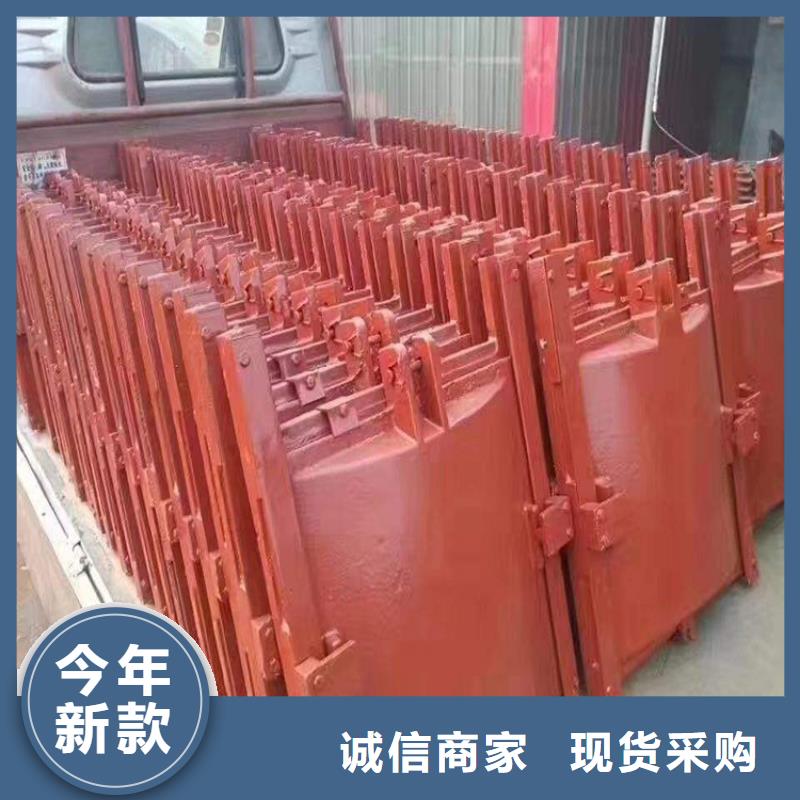 铸铁闸门-水电站铸铁闸门老客户钟爱