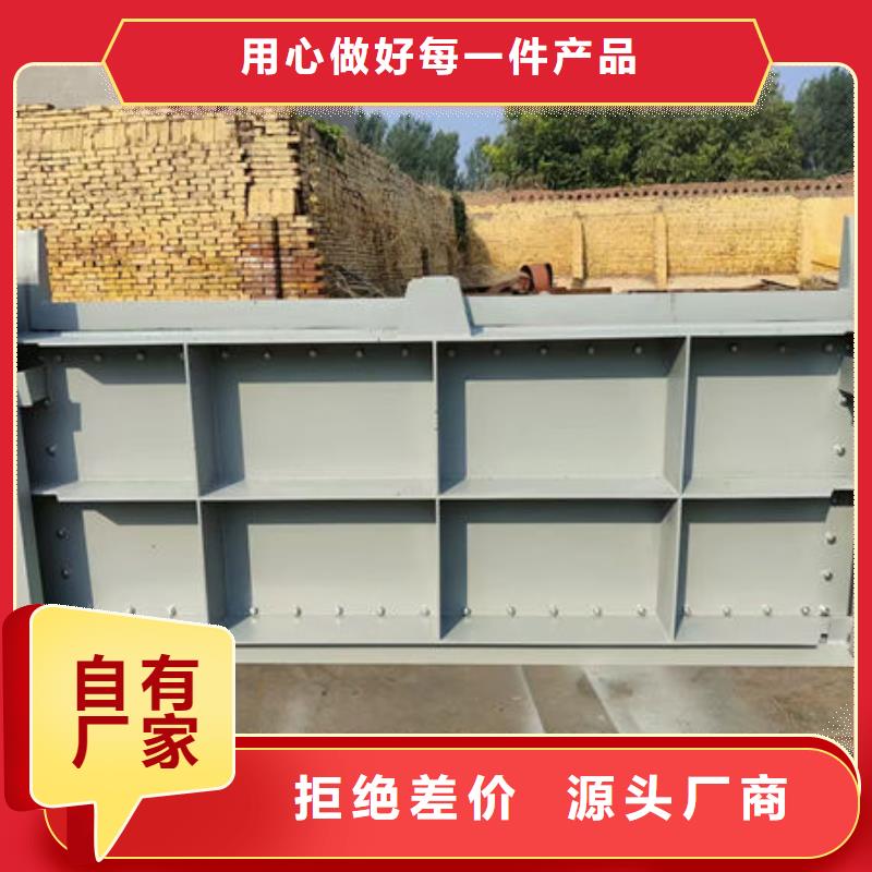 钢坝闸门-合页钢坝有实力有经验
