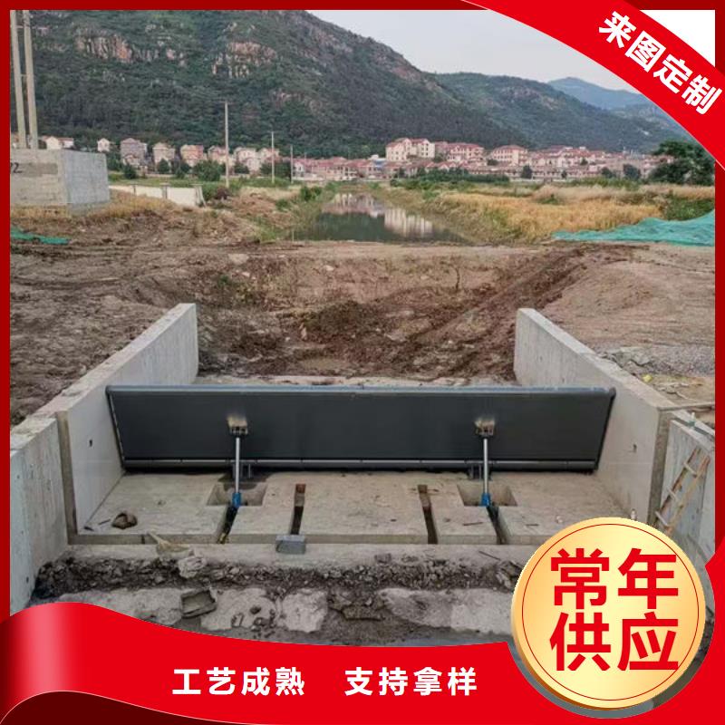 钢坝闸门合页钢坝来图定制