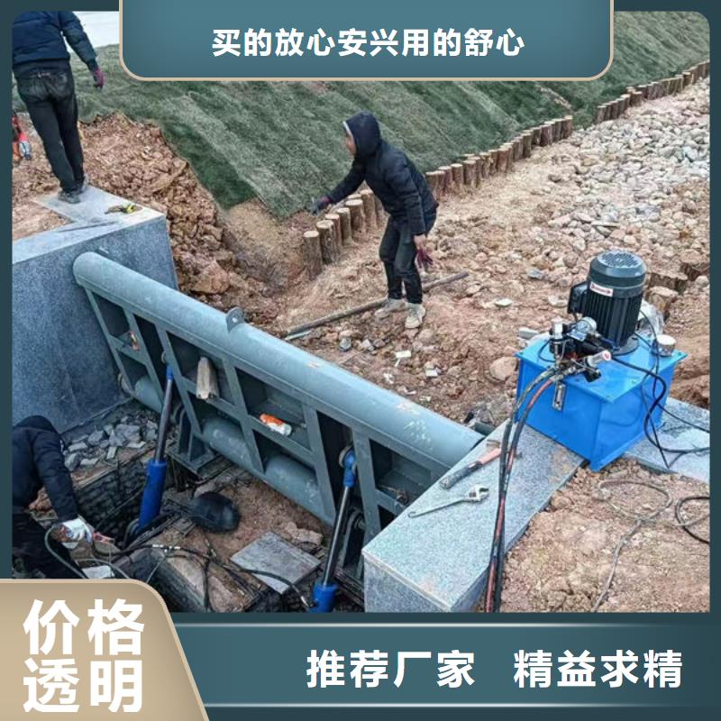 钢坝闸门合页钢坝来图定制